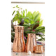 Pure Copper Bedroom Water Bottle with Inbuilt Glass