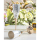 Silver plated champagne wine glass set of 2 with box by Indian Art Villa ideal for luxury gifts and festive occasions